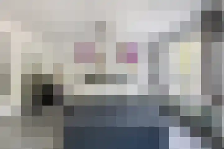 de Kampen 14 Meppel thumbnail 15