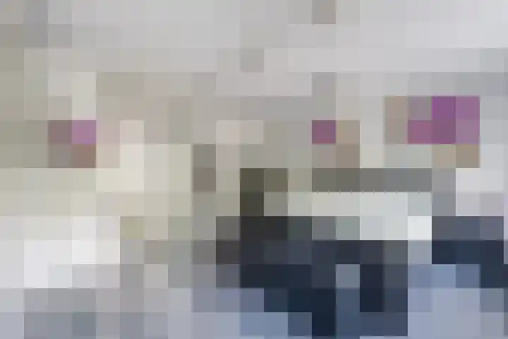 de Kampen 14 Meppel thumbnail 16