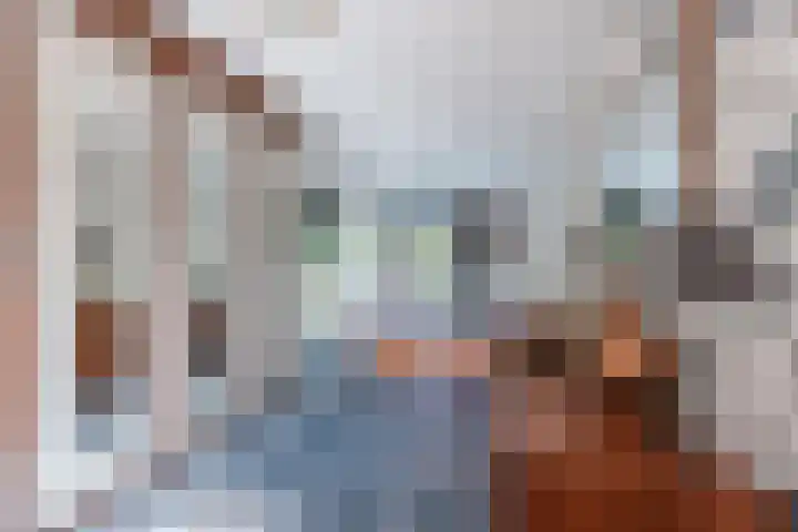 de Kampen 14 Meppel thumbnail 17