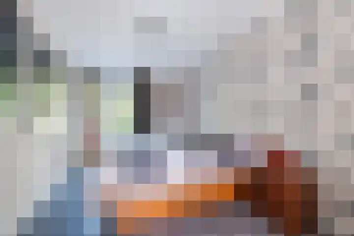 de Kampen 14 Meppel thumbnail 18