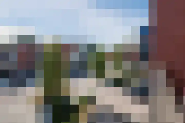 de Kampen 14 Meppel thumbnail 22