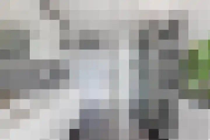 de Kampen 14 Meppel thumbnail 26