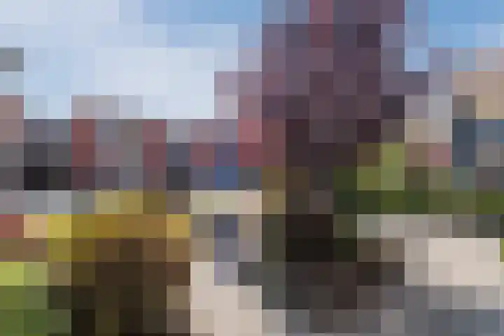 de Kampen 14 Meppel thumbnail 30