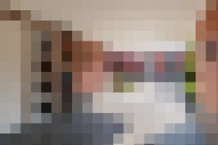 de Kampen 14 Meppel thumbnail 31