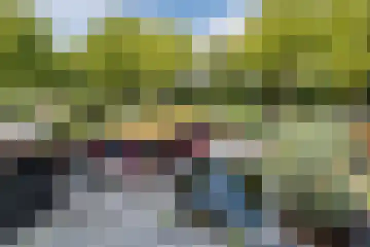 de Kampen 14 Meppel thumbnail 33