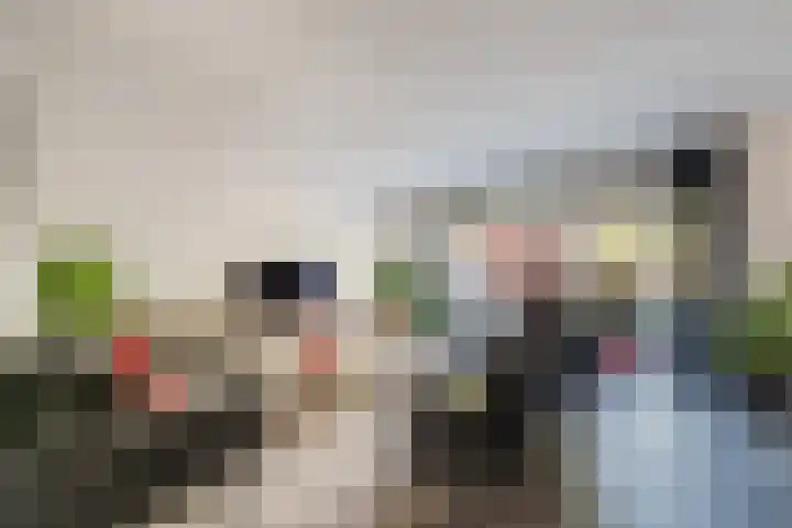 de Kampen 14 Meppel thumbnail 4