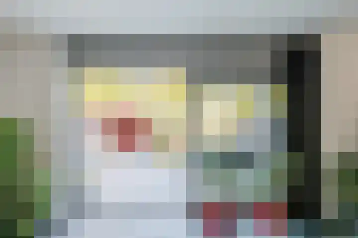 de Kampen 14 Meppel thumbnail 5