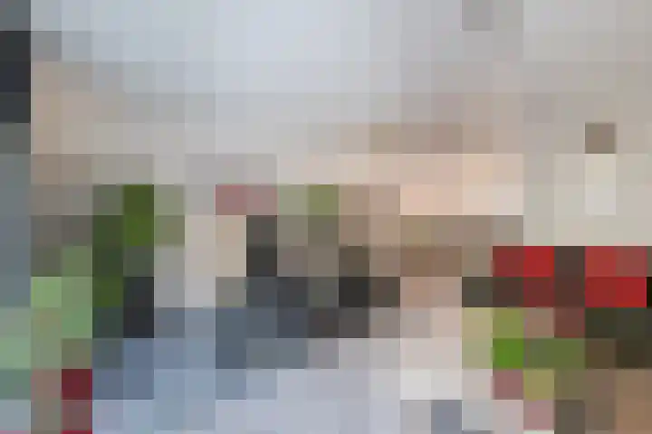 de Kampen 14 Meppel thumbnail 6