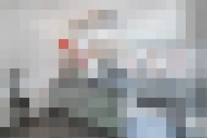 de Kampen 14 Meppel thumbnail 8