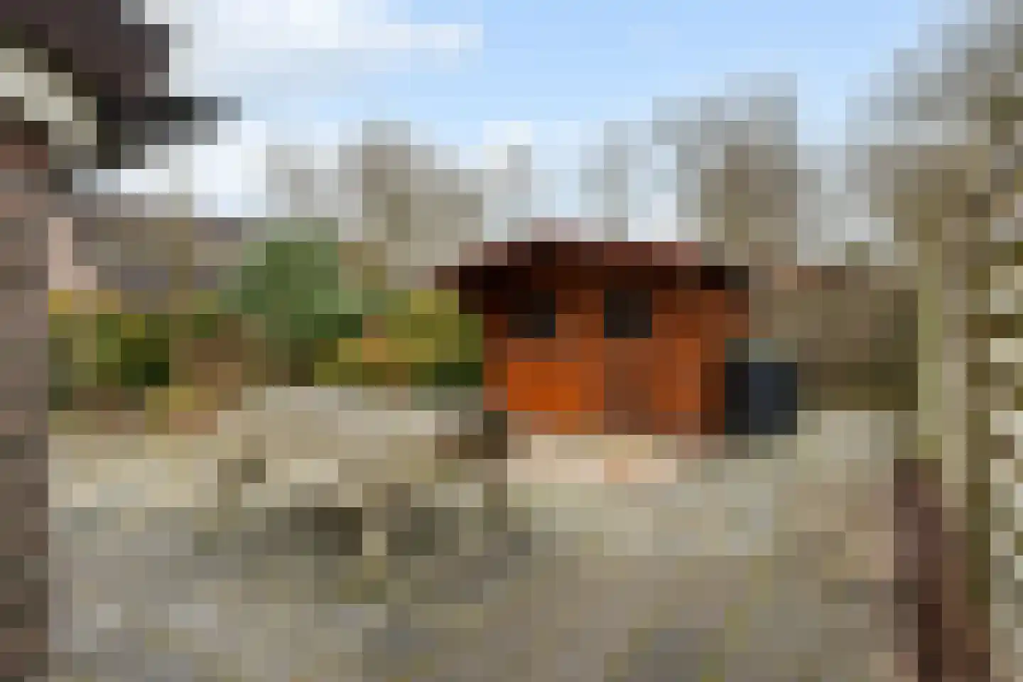 De Kampen 14 Westerbork thumbnail 34