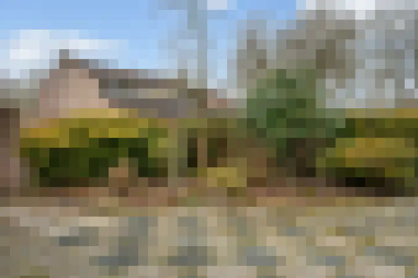 De Kampen 14 Westerbork thumbnail 41