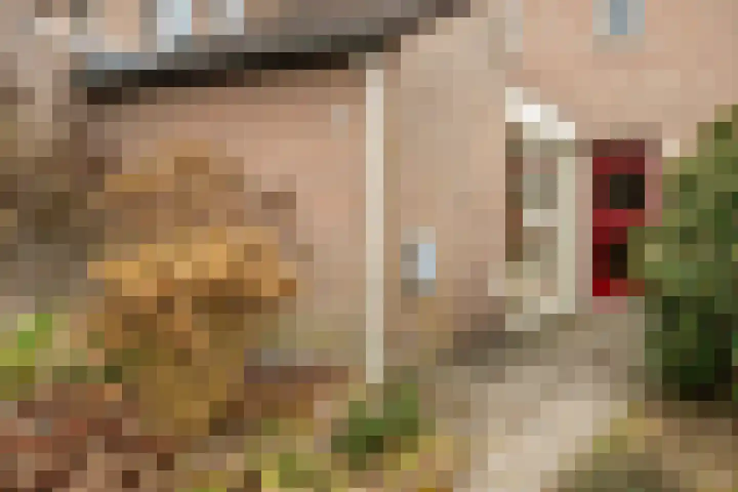 De Kampen 14 Westerbork thumbnail 50