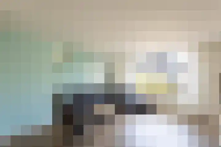De Kampen 18 Sexbierum thumbnail 11