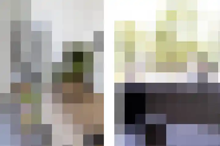 De Kampen 18 Sexbierum thumbnail 12