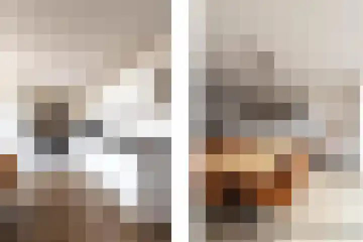 De Kampen 18 Sexbierum thumbnail 20