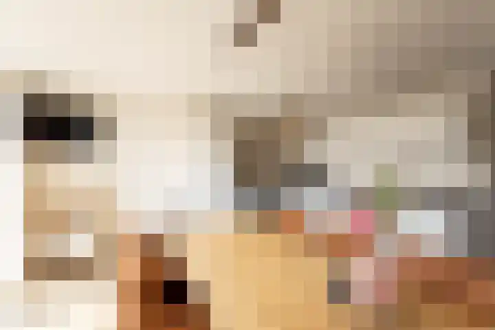 De Kampen 18 Sexbierum thumbnail 21