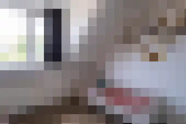 De Kampen 18 Sexbierum thumbnail 25
