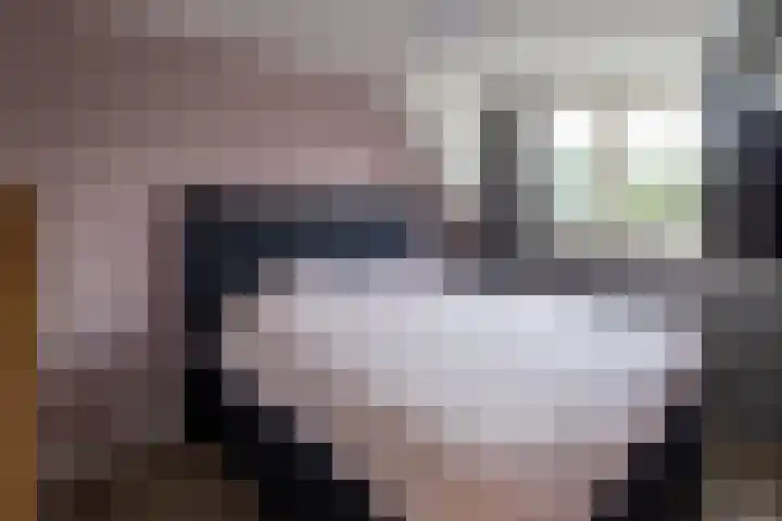 De Kampen 18 Sexbierum thumbnail 30