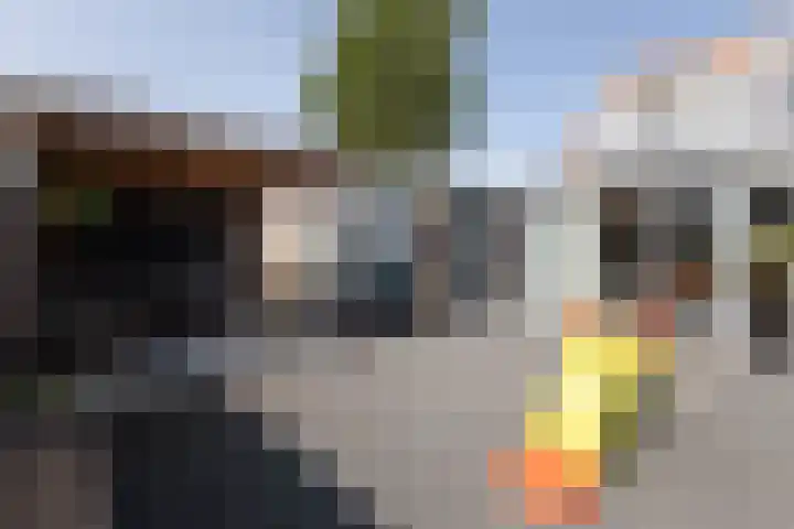 De Kampen 18 Sexbierum thumbnail 37