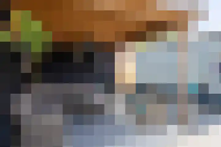 De Kampen 18 Sexbierum thumbnail 39