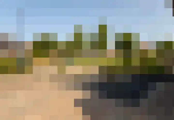 De Kampen 18 Sexbierum thumbnail 8