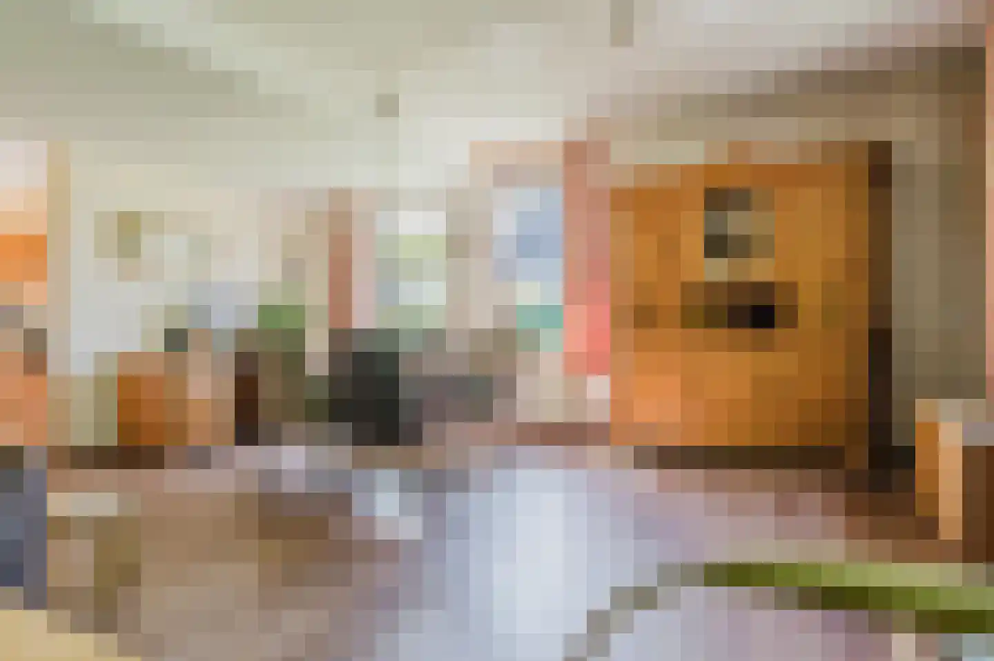 de Kampen 2 Tjalleberd thumbnail 20