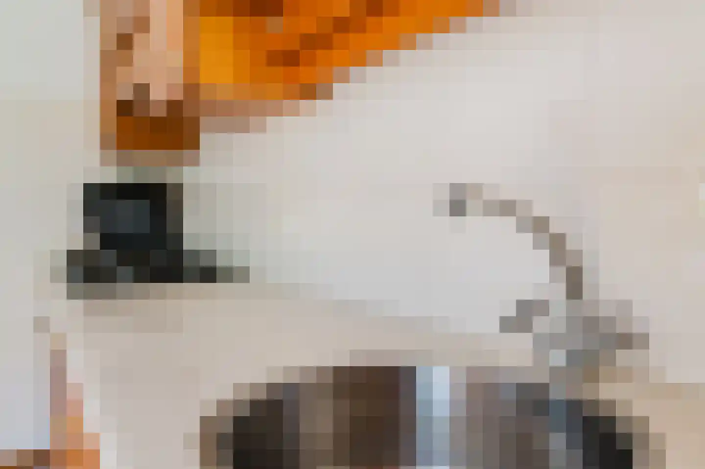 de Kampen 2 Tjalleberd thumbnail 29