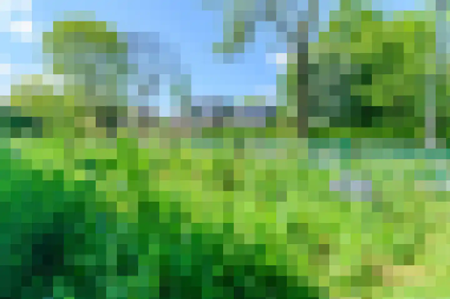 de Kampen 2 Tjalleberd thumbnail 55