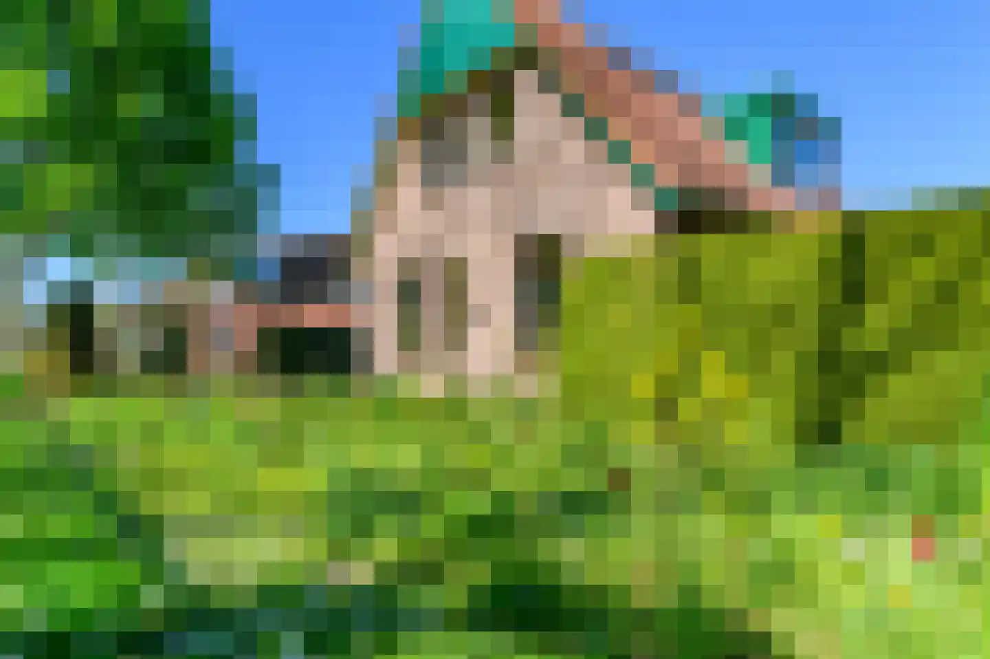 de Kampen 2 Tjalleberd thumbnail 6
