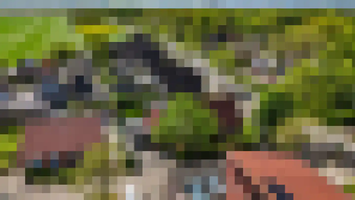 de Kampen 2 Tjalleberd thumbnail 64