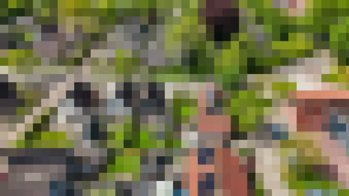 de Kampen 2 Tjalleberd thumbnail 65