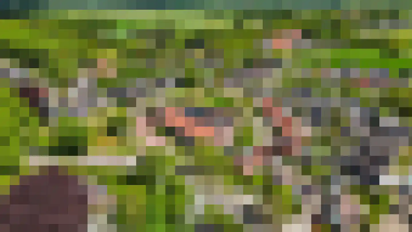 de Kampen 2 Tjalleberd thumbnail 67