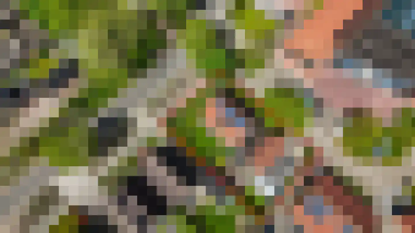 de Kampen 2 Tjalleberd thumbnail 68