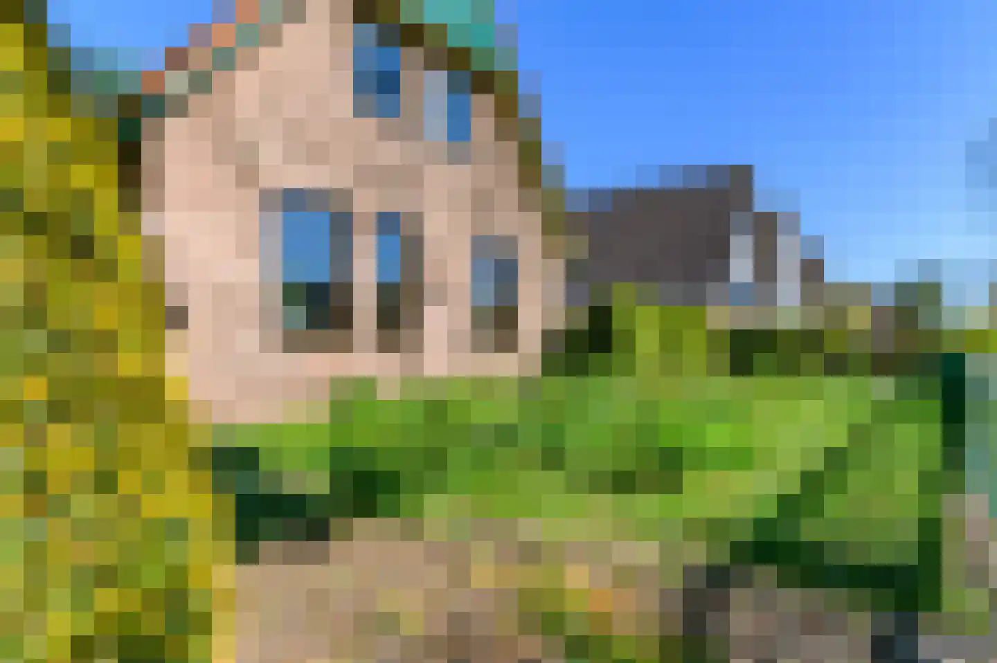 de Kampen 2 Tjalleberd thumbnail 7