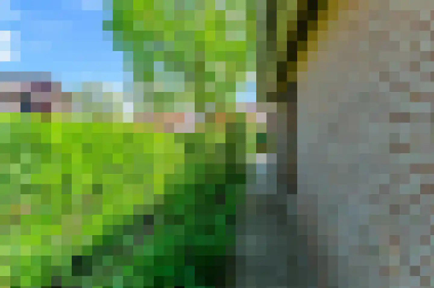 de Kampen 2 Tjalleberd thumbnail 9