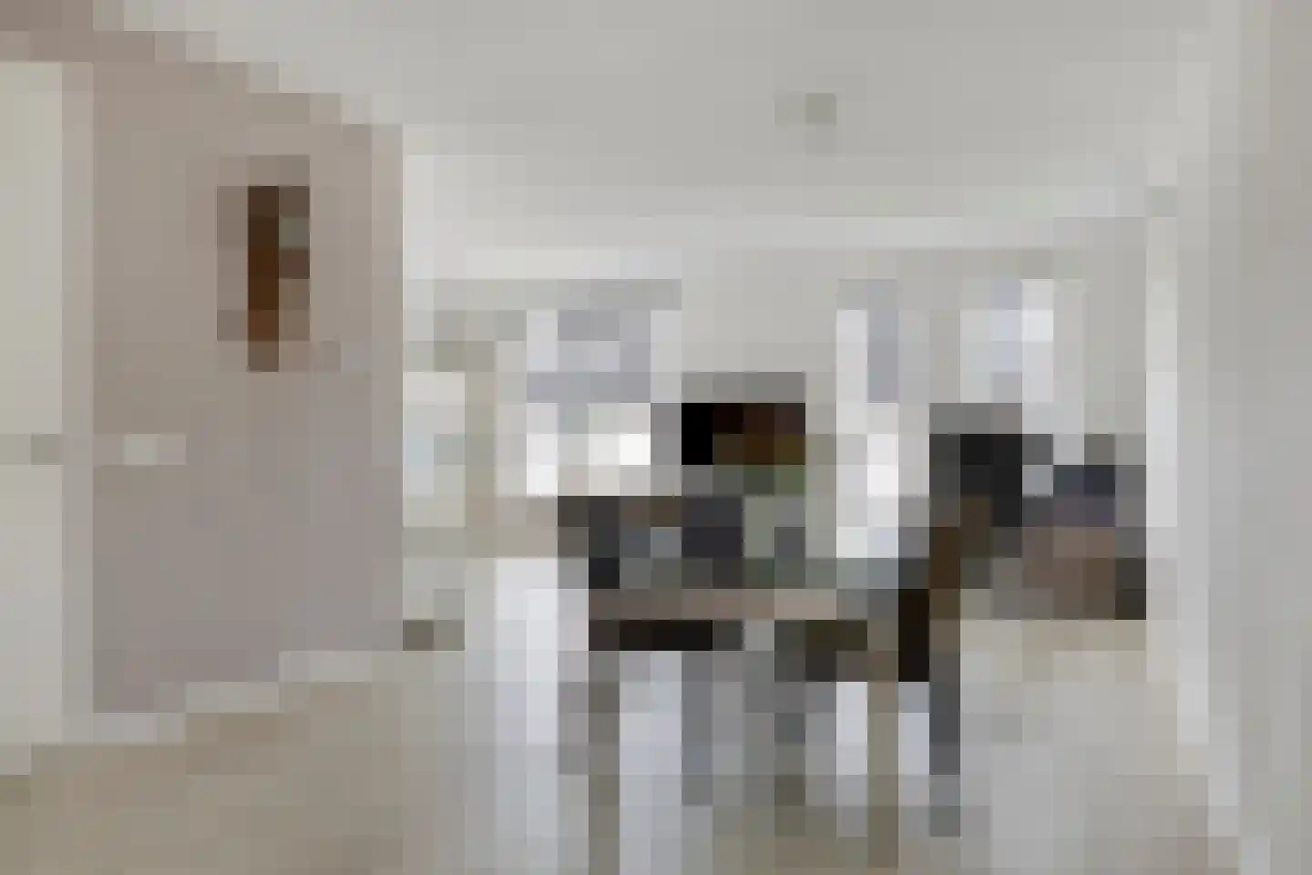 De Kampen 25 Ingwierrum thumbnail 12