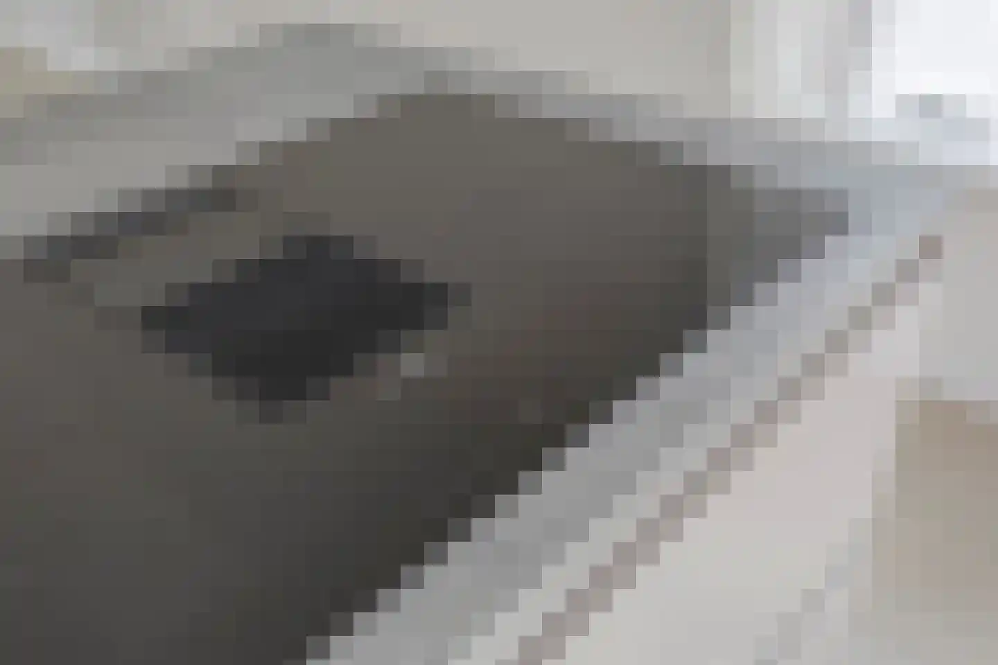 De Kampen 25 Ingwierrum thumbnail 15