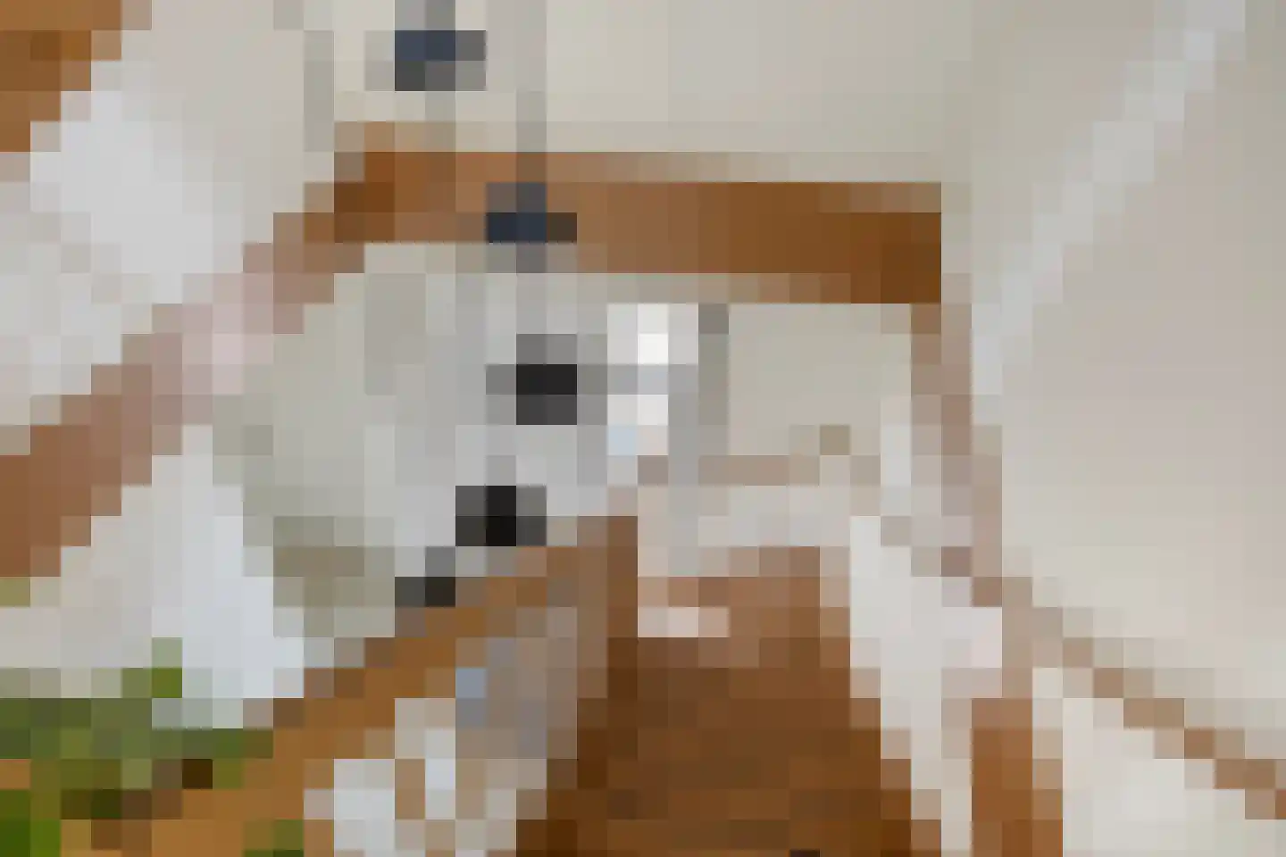 De Kampen 25 Ingwierrum thumbnail 30