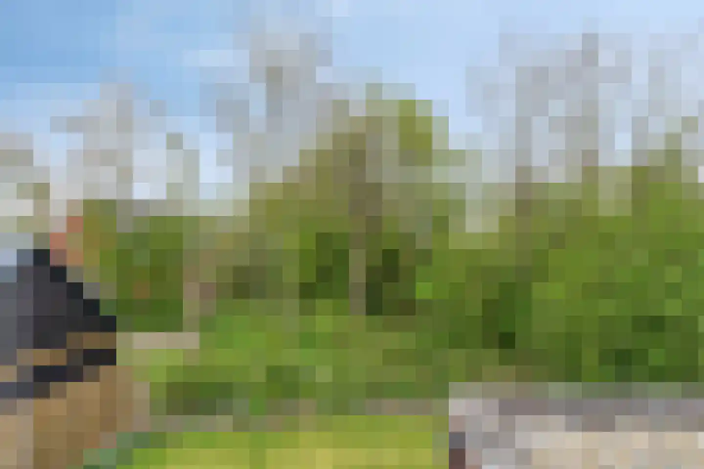 De Kampen 25 Ingwierrum thumbnail 38