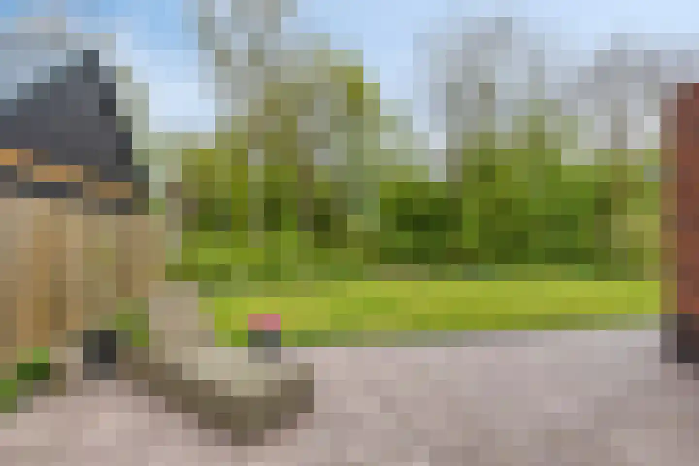 De Kampen 25 Ingwierrum thumbnail 42