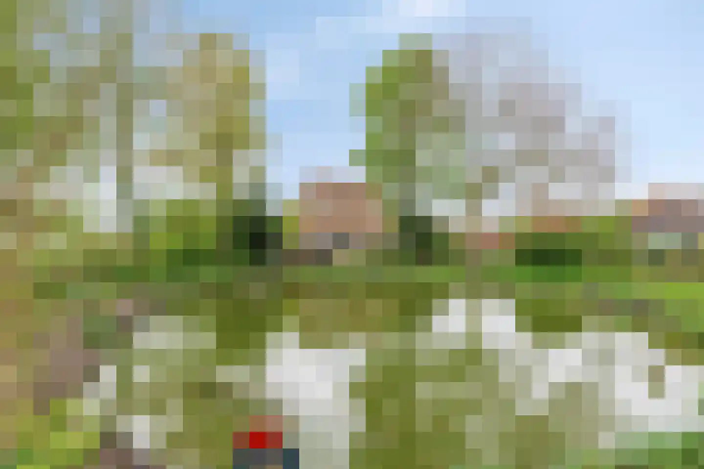 De Kampen 25 Ingwierrum thumbnail 43
