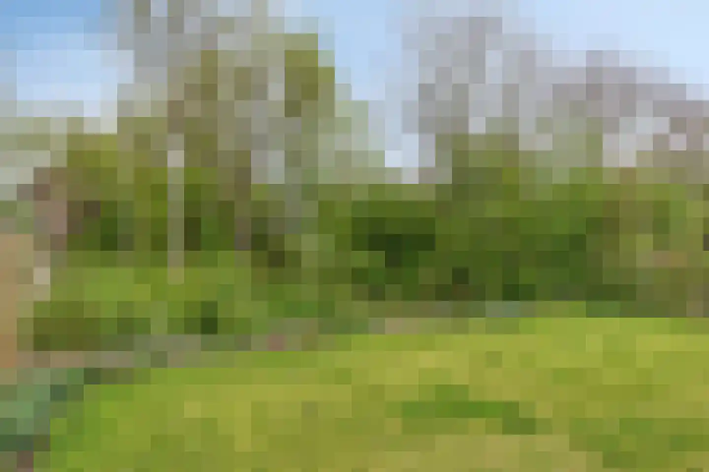 De Kampen 25 Ingwierrum thumbnail 44