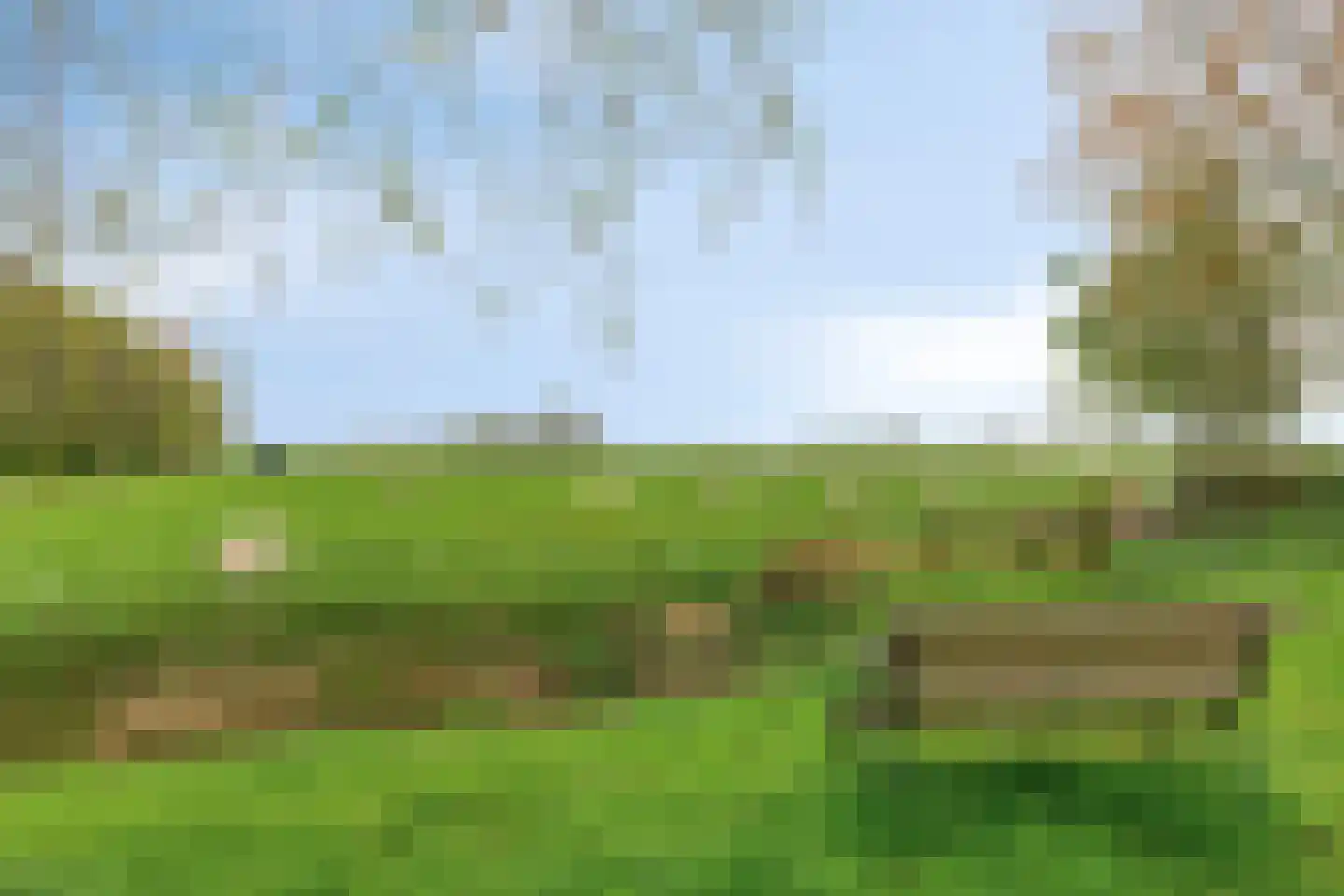 De Kampen 25 Ingwierrum thumbnail 48
