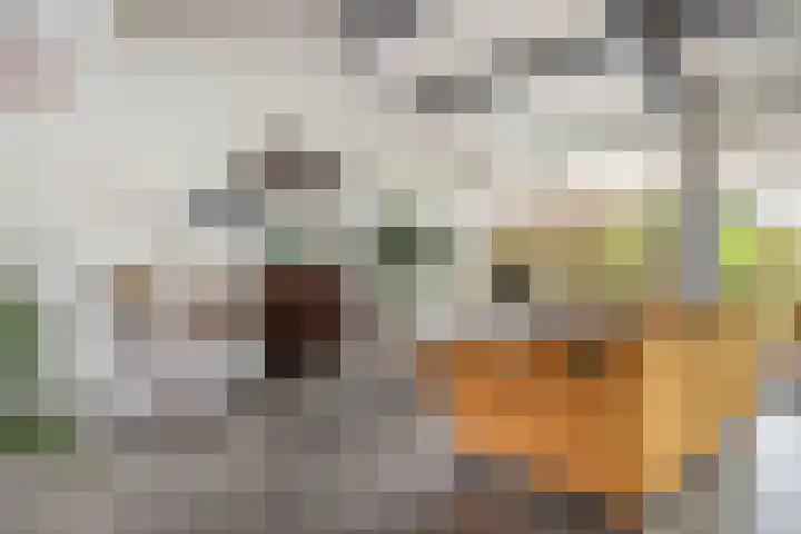 De Kampen 28 Westerbork thumbnail 10