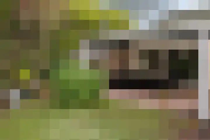 De Kampen 28 Westerbork thumbnail 27