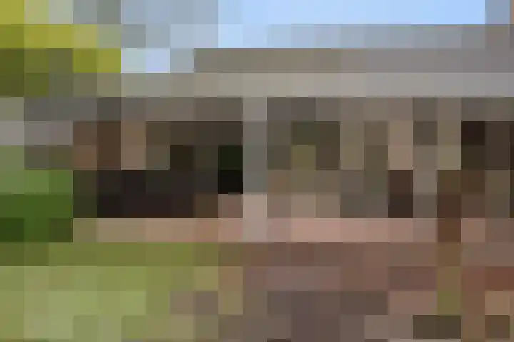 De Kampen 28 Westerbork thumbnail 28