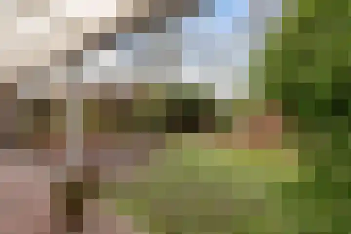 De Kampen 28 Westerbork thumbnail 29