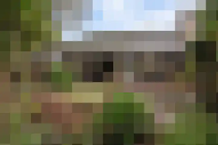 De Kampen 28 Westerbork thumbnail 30