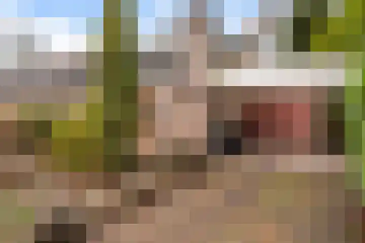 De Kampen 28 Westerbork thumbnail 36