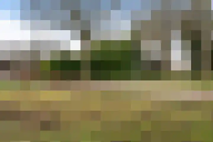 De Kampen 28 Westerbork thumbnail 37